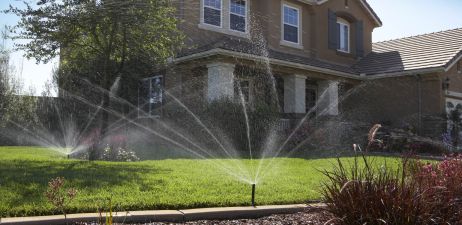 Weniger Wasser, mehr Wirkung