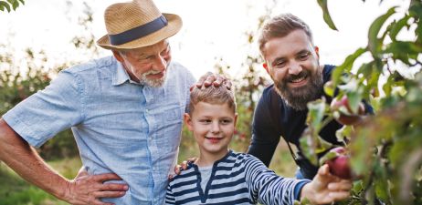 Richtig Vererben und Erben